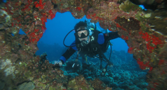 Scuba Dive Lanai Lava Tubes with top Maui Dive Shop