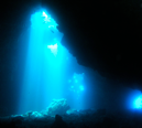 Scuba Dive Lanai Cathedrals Lava Tubes with top Maui Dive Shop