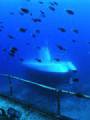 atlantis submarine on maui