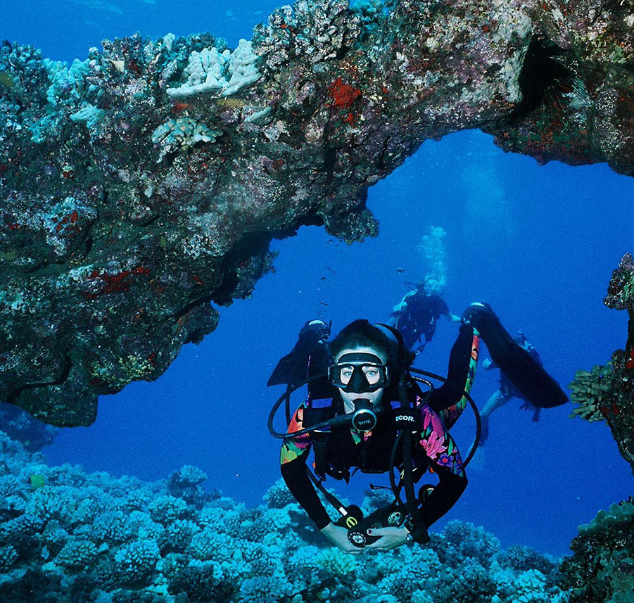 dive in maui