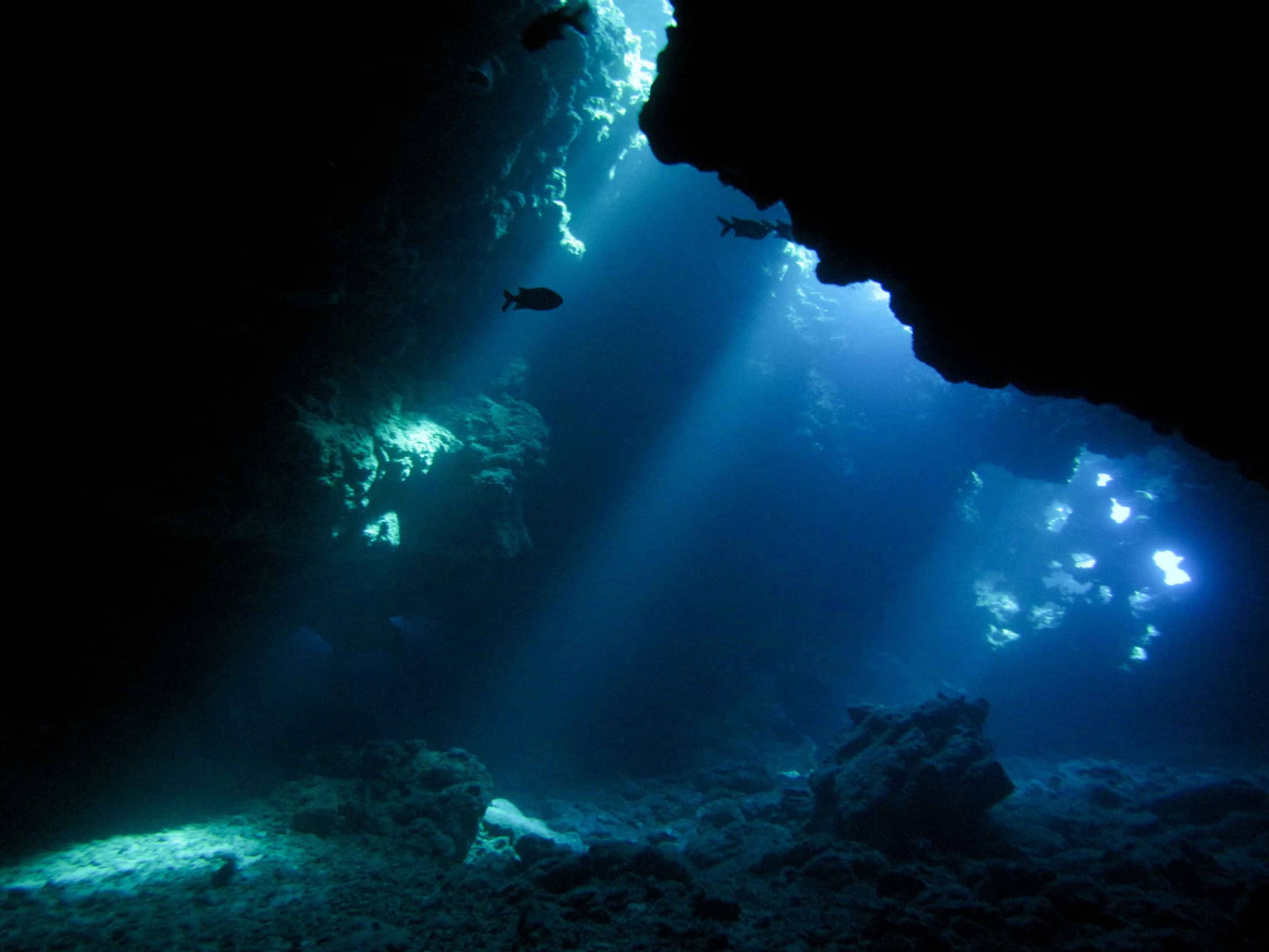 Cathedral Dive – Extended Horizons | Dive Maui & Lanai