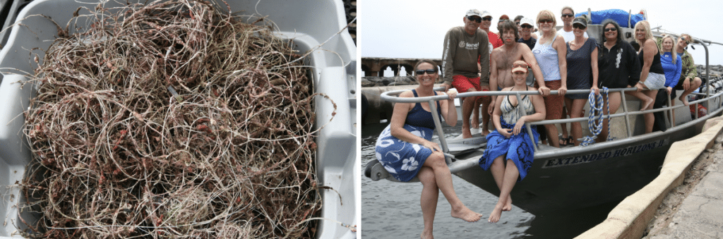 International Coastal Cleanup Day